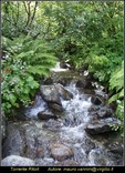 Torrente Ritort