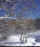 Dal lago Baccio