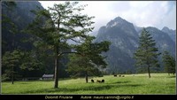 Dolomiti Friulane