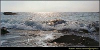Mare