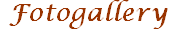 Fotogallery