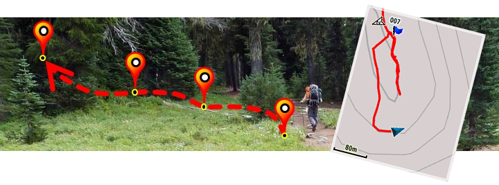 Traccia nel bosco